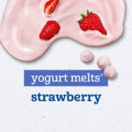 (6 pack) Gerber Stage 3 Baby Food Snacks, Strawberry Yogurt Melts, Baby Led Feeding 1 oz