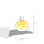 ($98 Value) Burberry Classic Eau De Parfum Spray, Perfume For Women, 3.3 Oz