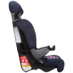 Cosco Kids Finale 2-in-1 Toddler Booster Car Seat, Peony Tiles II