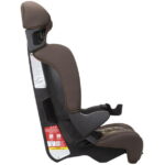 Cosco Kids Finale 2-in-1 Toddler Booster Car Seat, Realtree Edge II
