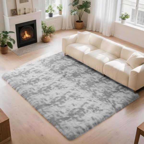 CozyDesg 5ft x 8ft Area Rugs, Soft Fluffy Area Rugs Floor Mat Floor Rugs for Living Room Bedroom Modern Decor Carpet, Light Gray