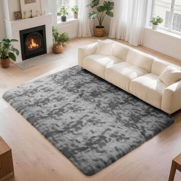 CozyDesg 5ft x 8ft Area Rugs, Soft Fluffy Area Rugs Floor Mat Floor Rugs for Living Room Bedroom Modern Decor Carpet, Dark Gray