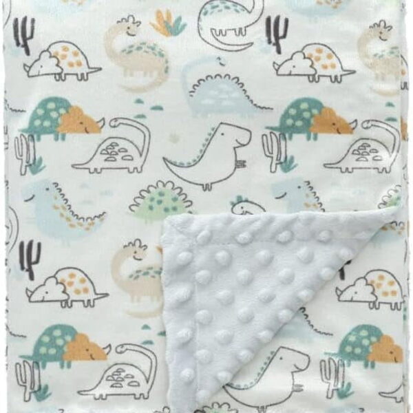 CREVENT Fuzzy Baby Nursery Blanket for Boys Soft Plush Receiving Gift for Newborns, All Season Use - Dinosaur 30x40 Inches