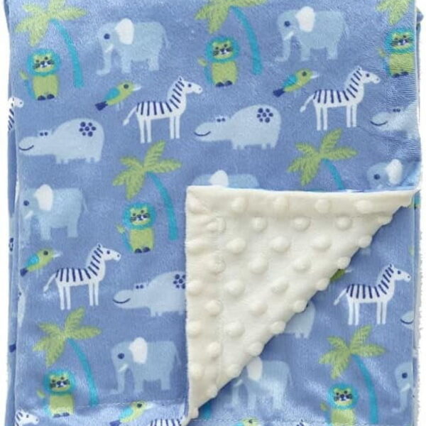 CREVENT Silky Soft Baby Blanket for Boys Soft Plush Receiving Gift for Newborns Toddlers Bedding - Zoo 30x40 Inches