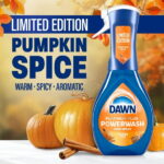 Dawn Powerwash Spray, Dish Soap, Dishwashing Liquid, Pumpkin Spice, 1 Starter Kit, 16 fl oz