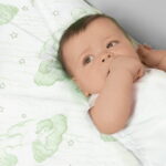 Dream On Me Twilight Spring Crib and Toddler Bed Mattress, Green