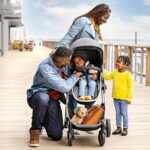 Evenflo Omni Plus Modular Travel System with LiteMax Sport Rear-Facing Infant Car Seat, Hyperion Red, 22lb
