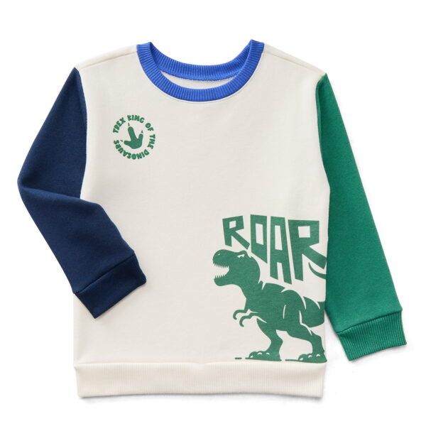 Garanimals Toddler Boy Color Block Graphic Fleece Sweatshirt, Sizes 2T-5T