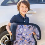 KidsEmbrace Disney Frozen Backless Booster Car Seat with Portable Cup Holder, Multicolor, 1 Count