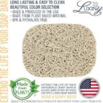 Luxiny American Made Soap Saver for Soap Dish, Shower Soap Holder & Travel Soap Boxes Helps Handmade Soap Last Longer - Made from Plant Based Eco Friendly Bioplastics Cloud White
