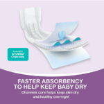 Parent's Choice Gentle Dreams Overnight Diapers Size 6, 58 Count (Select for More Options)
