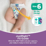 Parent's Choice Gentle Dreams Overnight Diapers Size 6, 58 Count (Select for More Options)