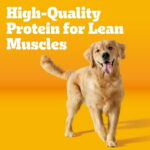 Pedigree Complete Nutrition Adult Dry Dog Food Grilled Steak & Vegetable Flavor, 44 Lb Bag