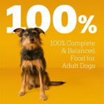 Pedigree Complete Nutrition Adult Dry Dog Food Grilled Steak & Vegetable Flavor, 44 Lb Bag