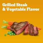Pedigree Complete Nutrition Adult Dry Dog Food Grilled Steak & Vegetable Flavor, 44 Lb Bag