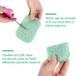 Qweryboo Protector PVC Plastic Soap Dish and Holder