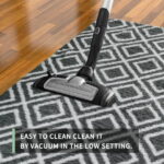 Sanmadrola Area Rug for Bedroom,4'X5.3',Fluffy Shag Rug for Living Room,Furry Carpet for Kids Room,Shaggy Throw Rug for Nursery Room,Fuzzy Plush Rug Carpet,Rectangle,Cute Room...