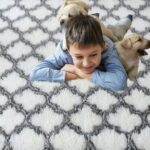 Sanmadrola Area Rug for Bedroom,6.5'X8.2',Fluffy Shag Rug for Living Room,Furry Carpet for Kids Room,Shaggy Throw Rug for Nursery Room,Fuzzy Plush Rug Carpet,Rectangle,Cute Room...