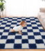SANMADROLA Area Rugs for Bedroom, Fluffy Shaggy Soft Area Rug, Non-Slip Indoor Floor Carpet for Living Room, Kids Baby Boys Teen Dorm Home Decor Aesthetic, Nursery 6.5'x7.5'