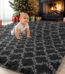 Sanmadrola Super Soft Shaggy Rugs Carpets 2.4x5.2 Feet Plush Area Rugs for Living Room Bedroom, Fluffy ​Rug for Nursery Playroom Dorm Room, Shag Plush Rug for Teen Room Decor,...