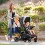 Sit N' Stand 5-in-1 Shopper Stroller