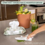 The Honest Company, Plant-Based Baby Wipes, Fragrance-Free, 288 Count (Select for More Options)