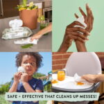 The Honest Company, Plant-Based Baby Wipes, Fragrance-Free, 288 Count (Select for More Options)