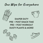 The Honest Company, Plant-Based Baby Wipes, Fragrance-Free, 288 Count (Select for More Options)