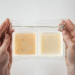 Travel Soap Container Square, Bar Soap Case Storage Holder, Vonpri Soap Dish Shower Square Bathroom Accessories for Traveling Outdoor Camping Gym Fitness (3Pcs Clear)