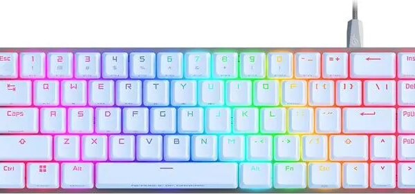 ASUS ROG Falchion Ace 65% RGB Compact Mechanical Gaming Keyboard, Lubed ROG NX Brown Switches & Stabilizers, Sound-Dampening Foam, PBT Keycaps, Wired - Pappy Mall