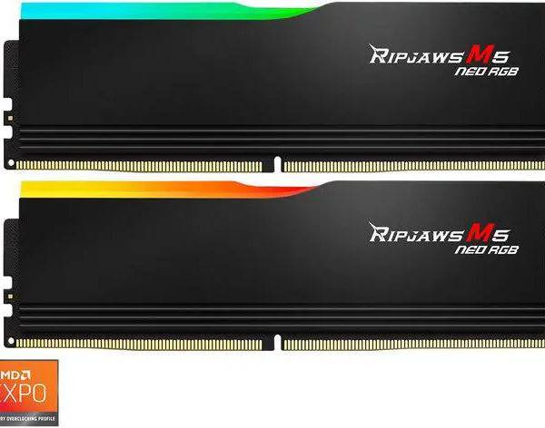 G.SKILL Ripjaws M5 Neo RGB Series 32GB (2 x 16GB) 288-Pin PC RAM DDR5 6000 (PC5 48000) Desktop Memory - Pappy Mall