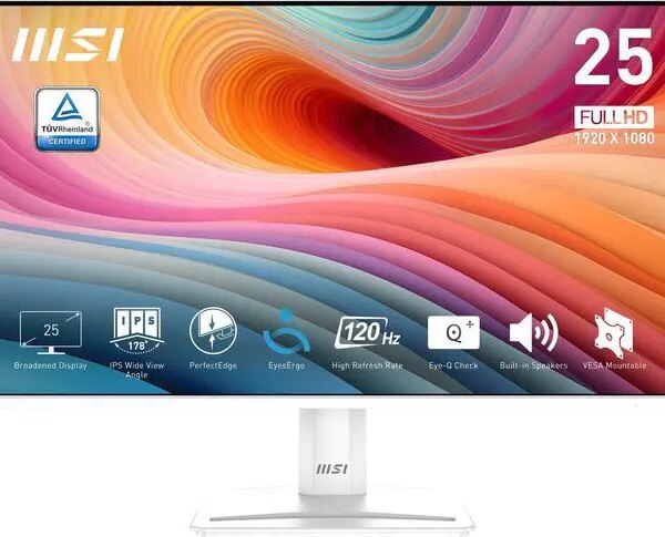 MSI 24.5" 120 Hz IPS FHD Gaming Monitor 1ms (MPRT) / 4ms (GTG) Adaptive Sync Flat Panel PRO MP251W E2 - Pappy Mall