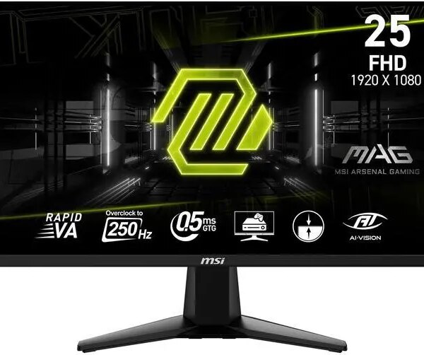 MSI 25" 250 Hz Rapid VA FHD Gaming Monitor MAG255XFV - Pappy Mall
