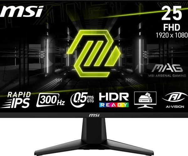 MSI Gaming Monitor 25" 300 Hz Rapid IPS FHD 0.5ms Adaptive Sync 1920 x 1080 MAG 255XF - Pappy Mall