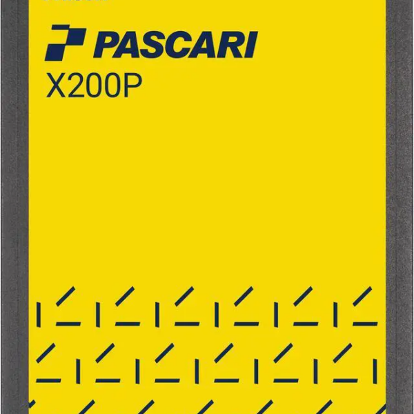 Pascari X200P E3.S 15.36TB PCI-Express 5.0 Single Port Solid State Disk Enterprise - XP20DH0315T3P3116T310 - Pappy Mall