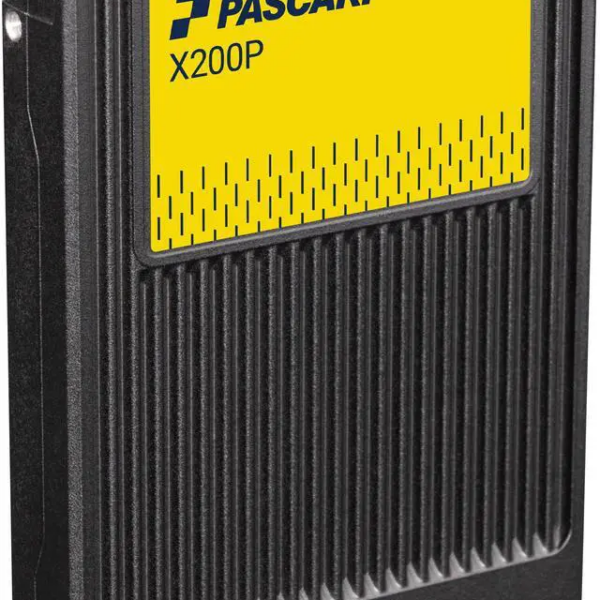 Pascari X200P U.2 3.84TB PCI-Express 5.0 Single Port Solid State Disk Enterprise - XP208H033T84P324T0910 - Newegg.com - Pappy Mall