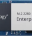 Synology SNV5420-1600G M.2 2280 1.6TB PCI-Express 3.0 x4 Enterprise Solid State Disk - Pappy Mall
