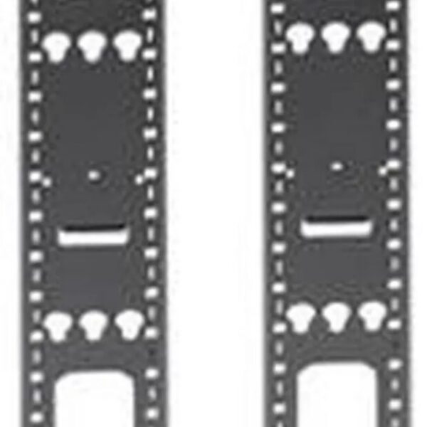 TRIPP LITE SRVRTBAR Vertical Cable Management Bars - Pappy Mall