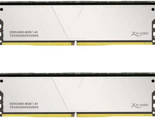 V-Color DDR5 96GB (48GBx2) 6000MHz CL30 2Rx8 OC ECC UNBUFFERED DIMM 1.4V (Overclocking ECC UDIMM) Memory Ram for Server (TE548G60D830SKK) - Pappy Mall